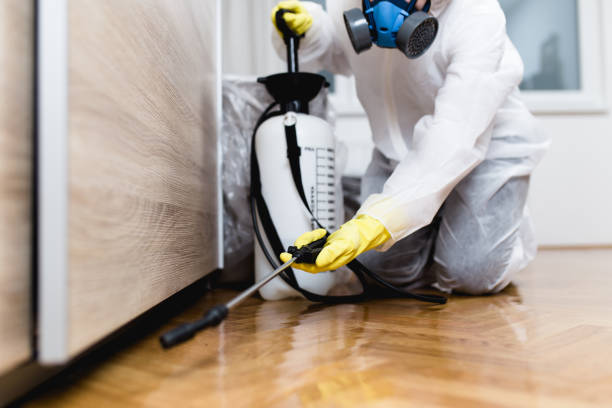 Best Rat Extermination Near Me  in Phoenix, OR