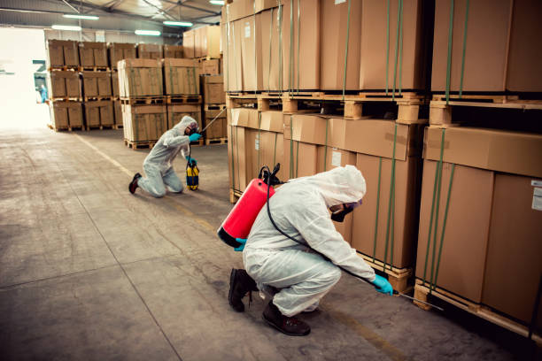 Professional Pest Control in Phoenix, OR