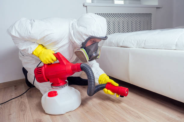 Pest Prevention Services in Phoenix, OR