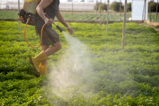 Best Pest Inspection Near Me  in Phoenix, OR
