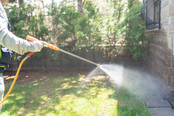 Best Termite Control Services  in Phoenix, OR