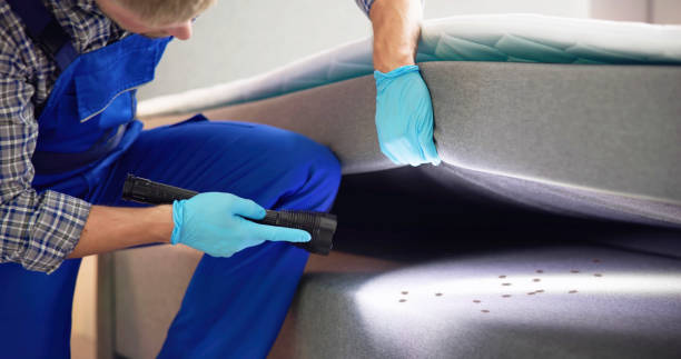 Best Spider Control Near Me  in Phoenix, OR