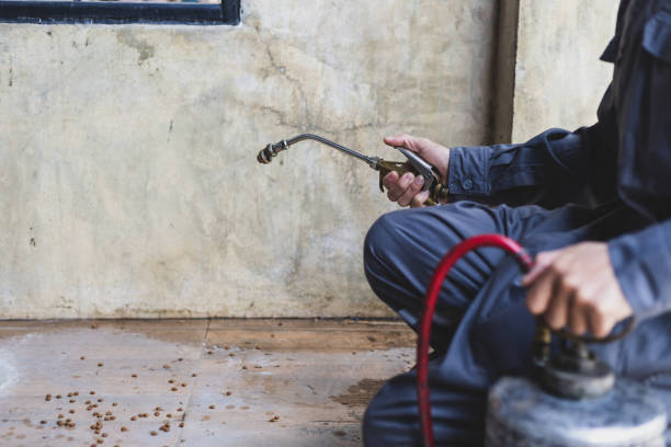 Best Pest Inspection Near Me  in Phoenix, OR
